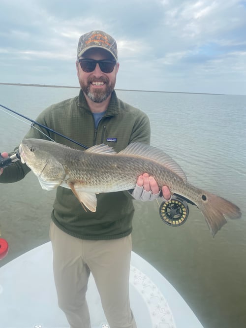 Half Day Fly Fishing Matagorda Bay
