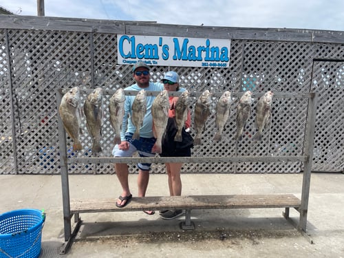 6 Hr Bay Trip (AM)