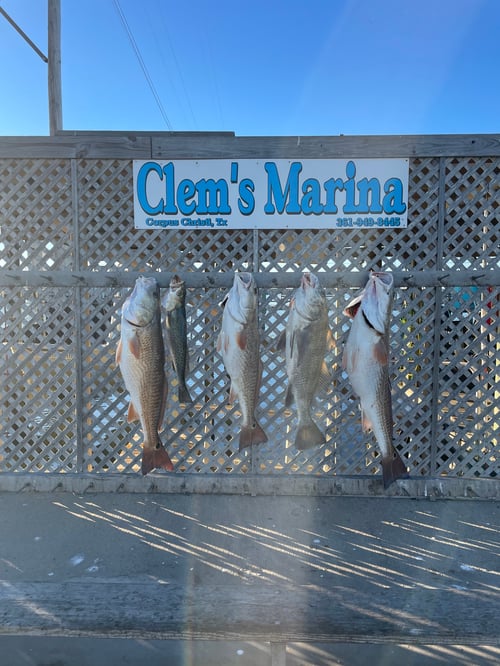 6 Hr Bay Trip (AM)