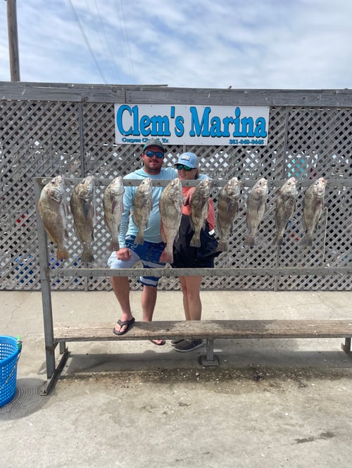 6 Hr Bay Trip (AM)