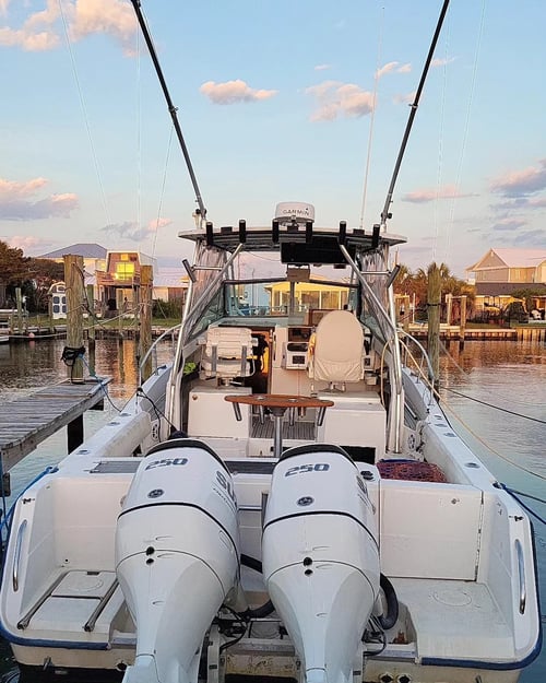 Half-Day Inshore Fishing Trip