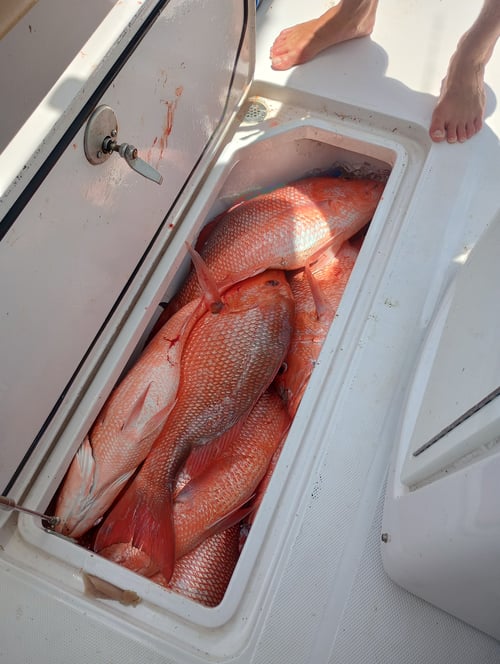 Let's GO! DEEP Offshore Trip