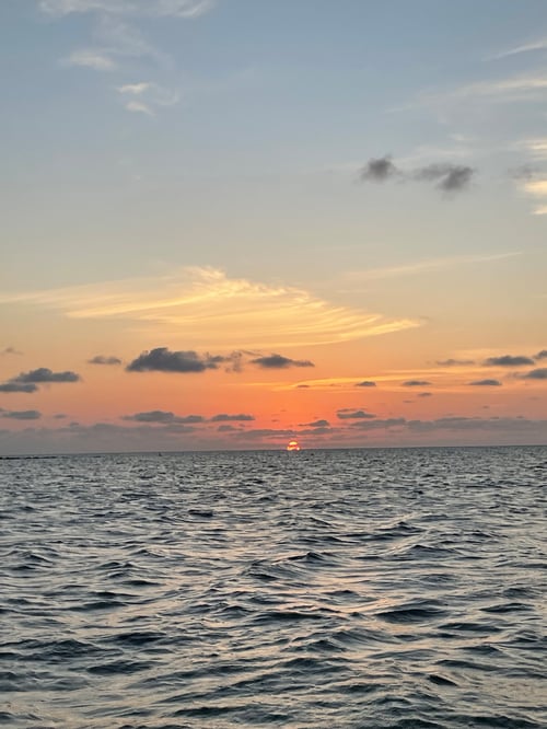 3 hr shelling/island trip 