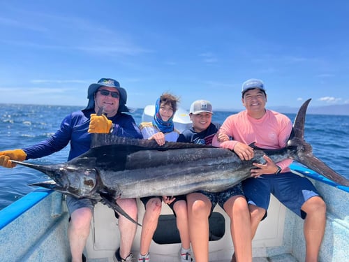 La Paz - Ensenada de los Muertos