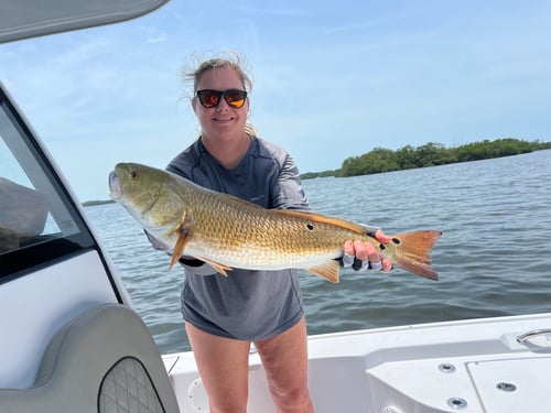 6-HR— Inshore