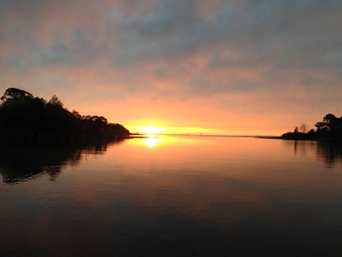 Full day Fishing Apalachicola Bay