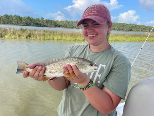 Full day Fishing Apalachicola Bay