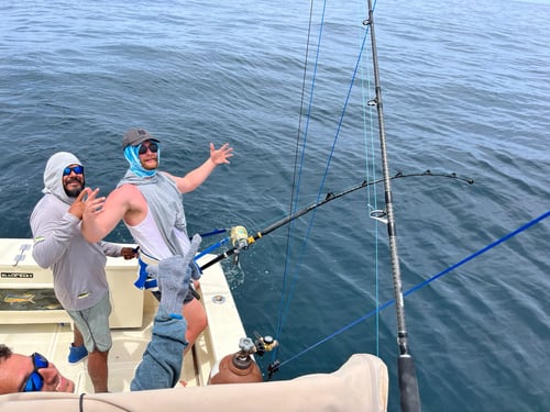LC Sportfisher 28 