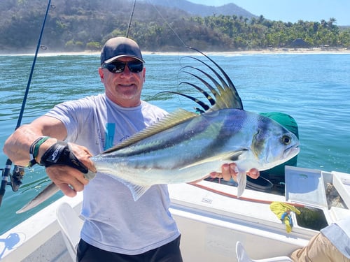 Bay trip - LC Sportfisher 28 