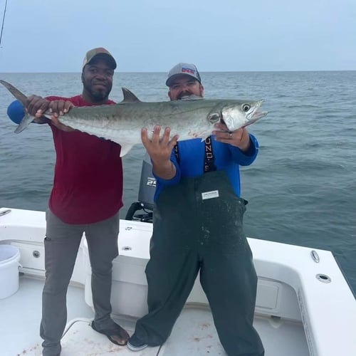  Reef and Wreck Fishing Adventure