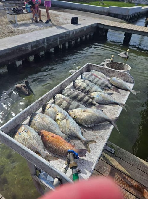  Reef and Wreck Fishing Adventure