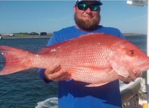 Limited time offer! Full day 