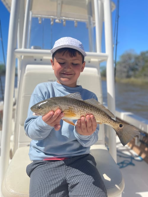 30A Inshore 3 Hour Trip 