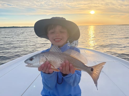 30A Inshore 3 Hour Trip 