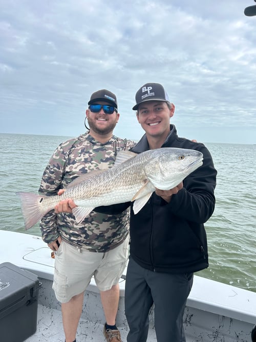 Half day live bait trip 