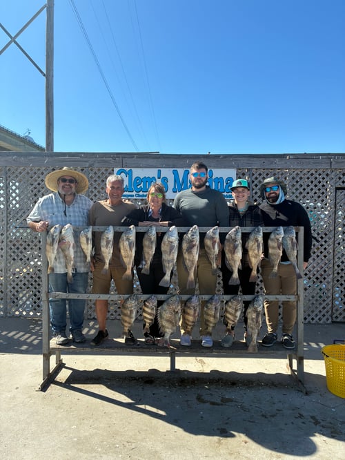 Half day live bait trip 