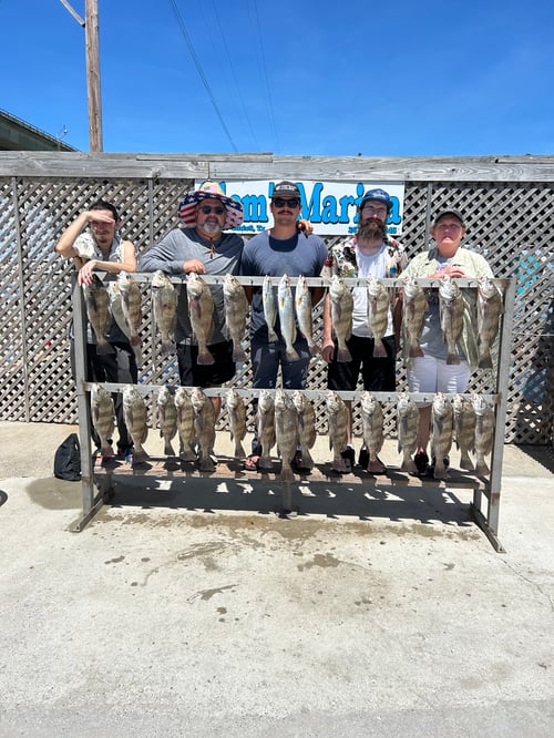 Full day live bait trip. 