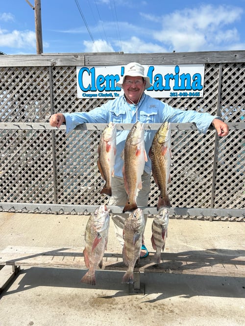 Full day live bait trip. 