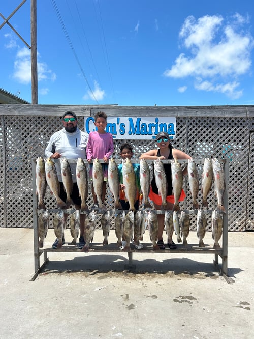 Full day live bait trip. 