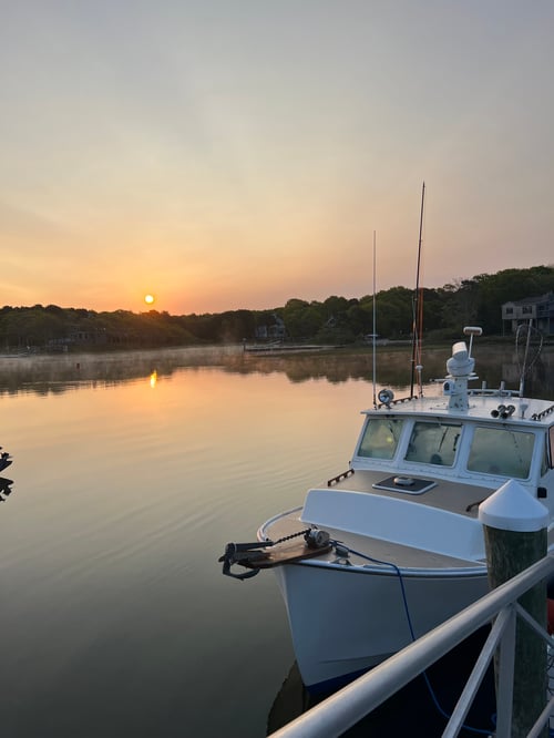 Offshore Sport Fishing