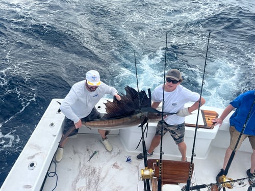 3/4 Day Offshore 