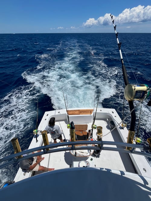 3/4 Day Offshore 