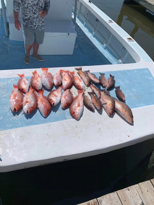 Louisiana Snapper Trip