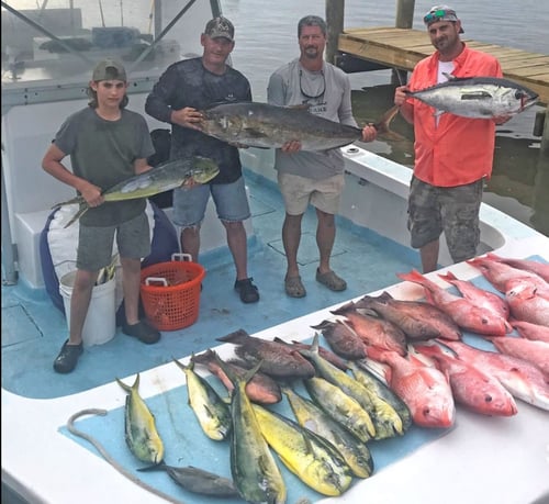 Half Day Trip – Snapper