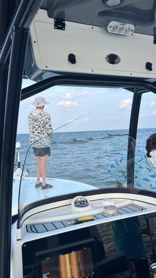 Morning 4hr back bay trip. 