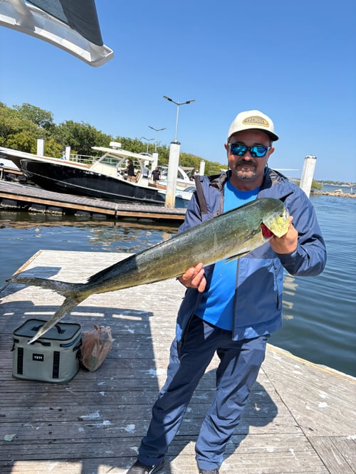 Halfday offshore