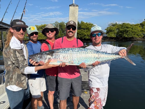 Halfday offshore