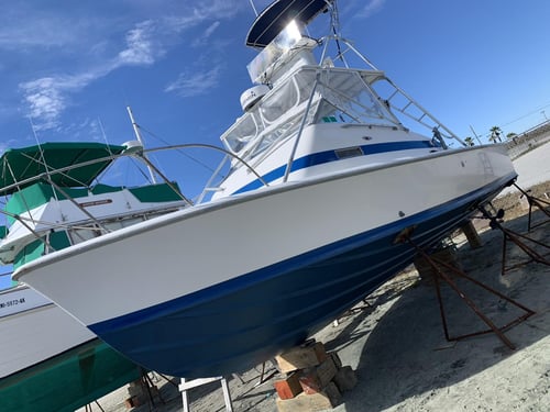 Wreck & Oil Rig Fishing