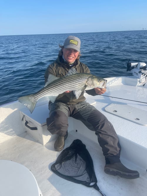 Nantucket Sound Half or Full Day