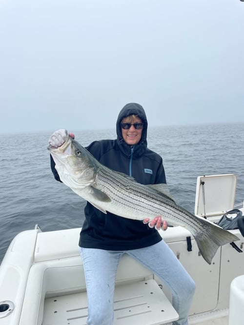 6-8 Hours Day Trip – Buzzards Bay
