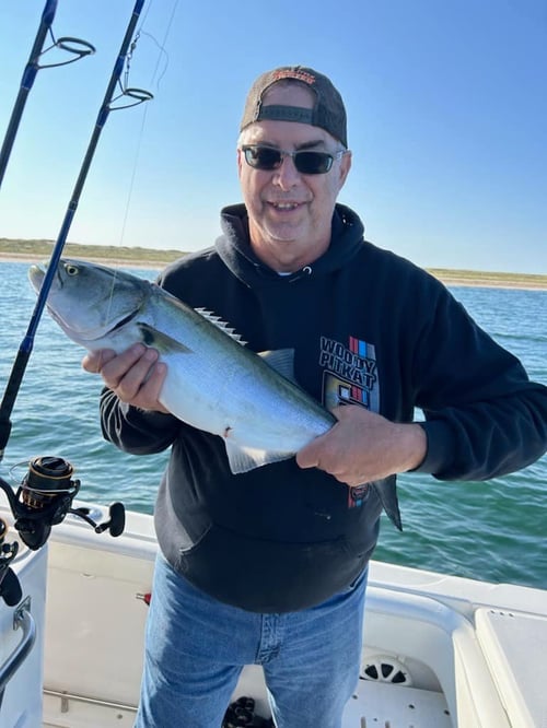 6-8 Hours Day Trip – Cape Cod Bay