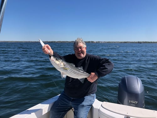 6-8 Hours Day Trip – Cape Cod Bay