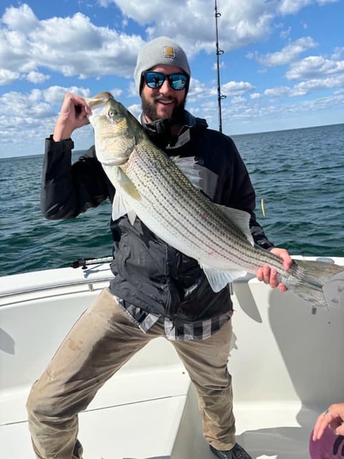 6-8 Hours Day Trip – Cape Cod Bay