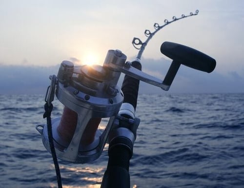 Full Day Tuna Trip