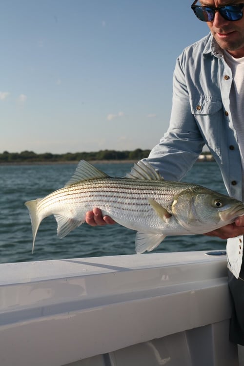 4-8 Hour Trip – Inshore