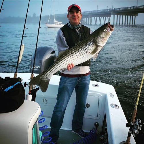 4-8 Hour Trip – Inshore