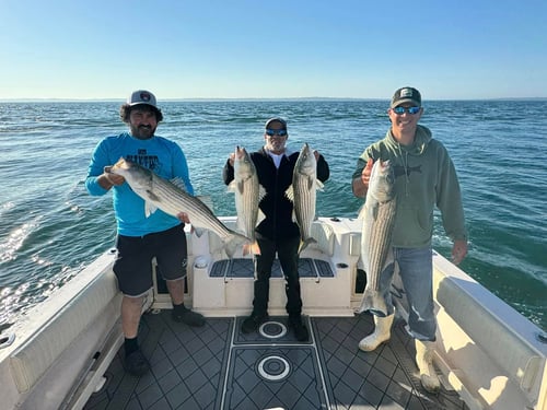 4-8 Hour Trip - Inshore/Nearshore