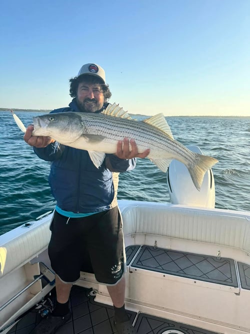 4-8 Hour Trip - Inshore/Nearshore