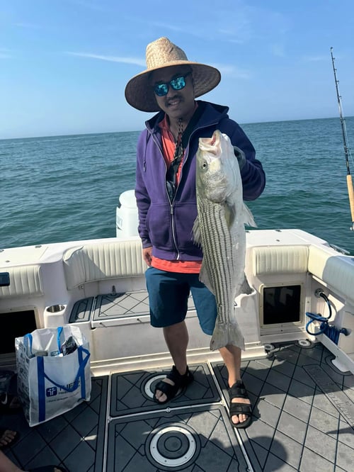 4-8 Hour Trip - Inshore/Nearshore