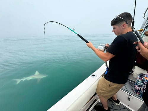 10 Hour Trip – Shark Fishing