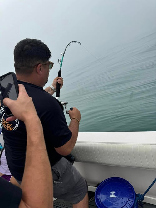 10 Hour Trip – Shark Fishing