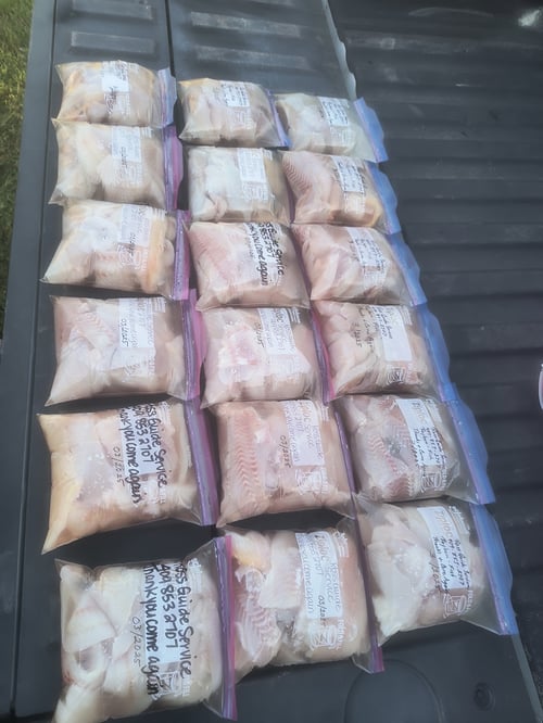 Bass, Crappie, and Catfish trips