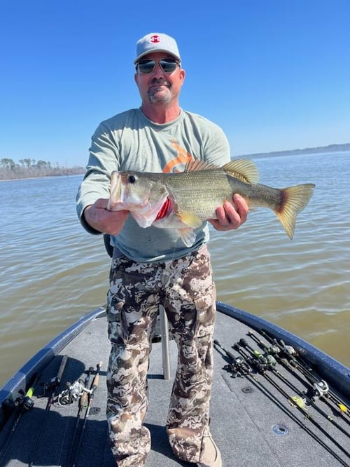 Bass, Crappie, and Catfish trips