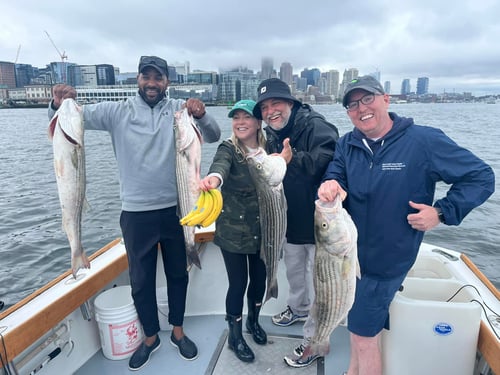 5 Hour Trip – Inshore