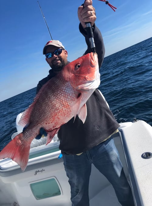 Bottom Fishing - 34' Yellow Fins