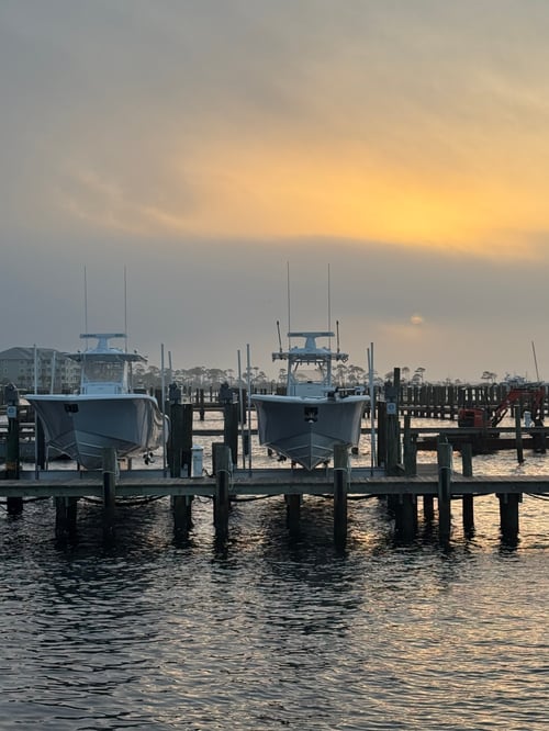 Bottom Fishing - 34' Yellow Fins